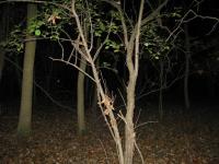 Chicago Ghost Hunters Group investigates Robinson Woods (127).JPG